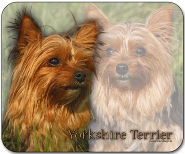 Mousepad Yorkshire Terrier #2